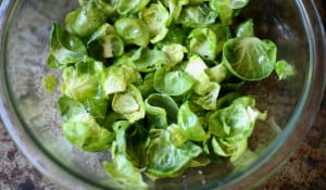 brussel sprout chips in process