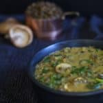 french lentil stew recipe