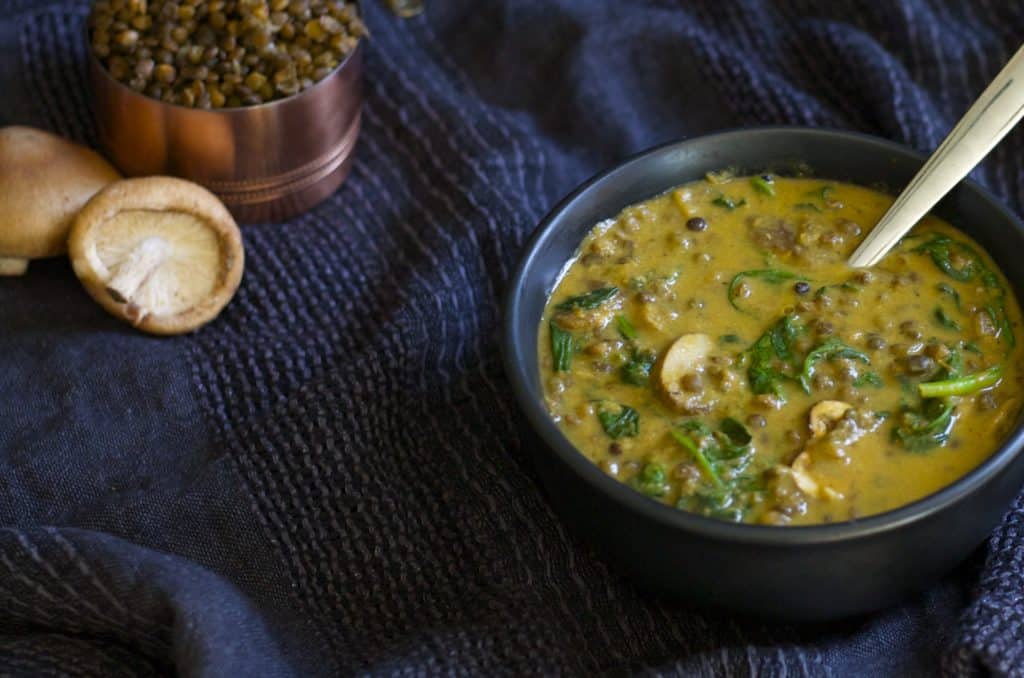 french lentil stew recipe