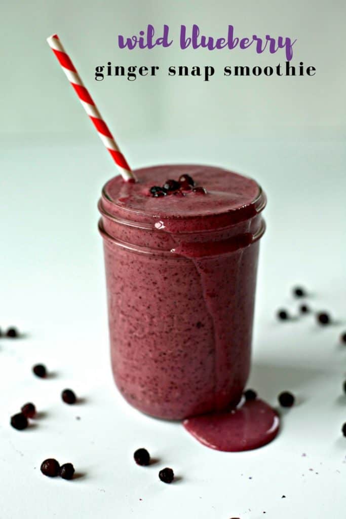 Wild Blueberry Ginger Snap Smoothie full of antioxidant and immune boosting ingredients 