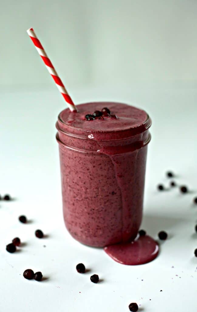 wild blueberry ginger snap smoothie2