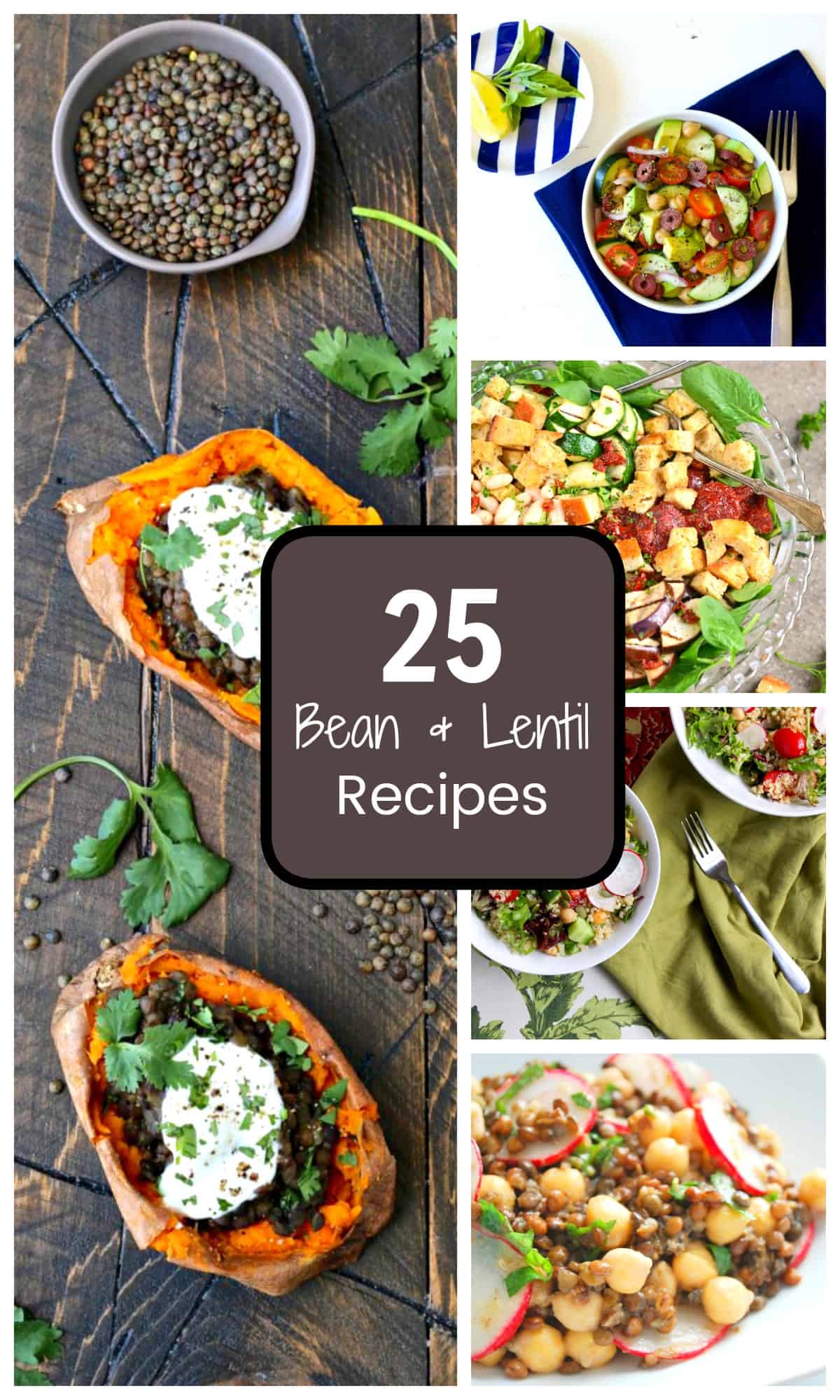 A collection of 25 delicious recipes using beans and lentils. Perfect for Meatless Monday inspiration, healthy lunches and filling dinners.