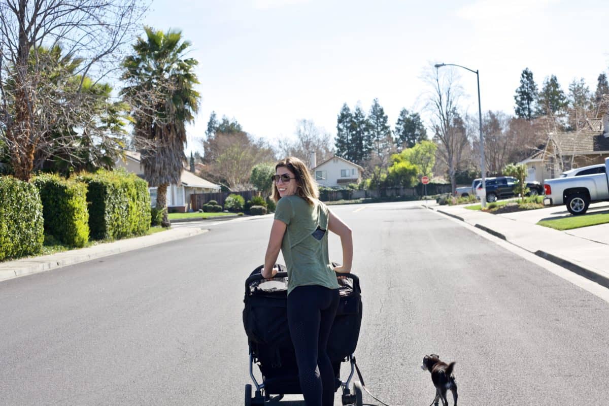 talking a walk with double stroller and dog on a leash