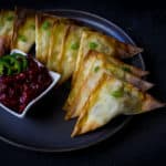 curry chicken wontons with cranberry chutney