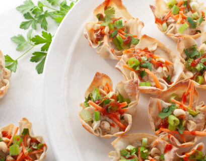 vegetarian wonton bites