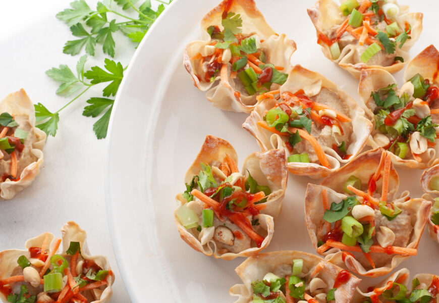 vegetarian wonton bites