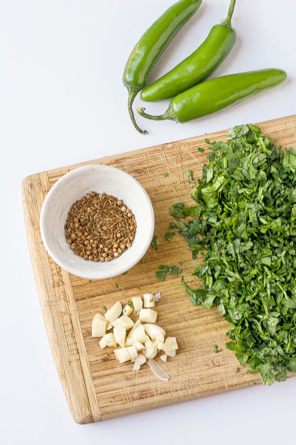 herbs spices garlic and hot peppers ingredients for chermoula