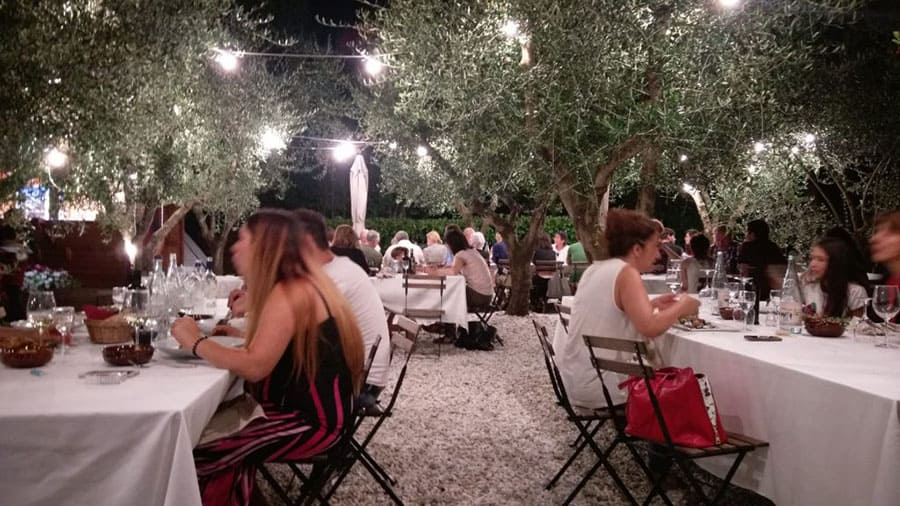 outdoor restaurant in italy among olive trees with twinkly lights showing friends enjoying meals together