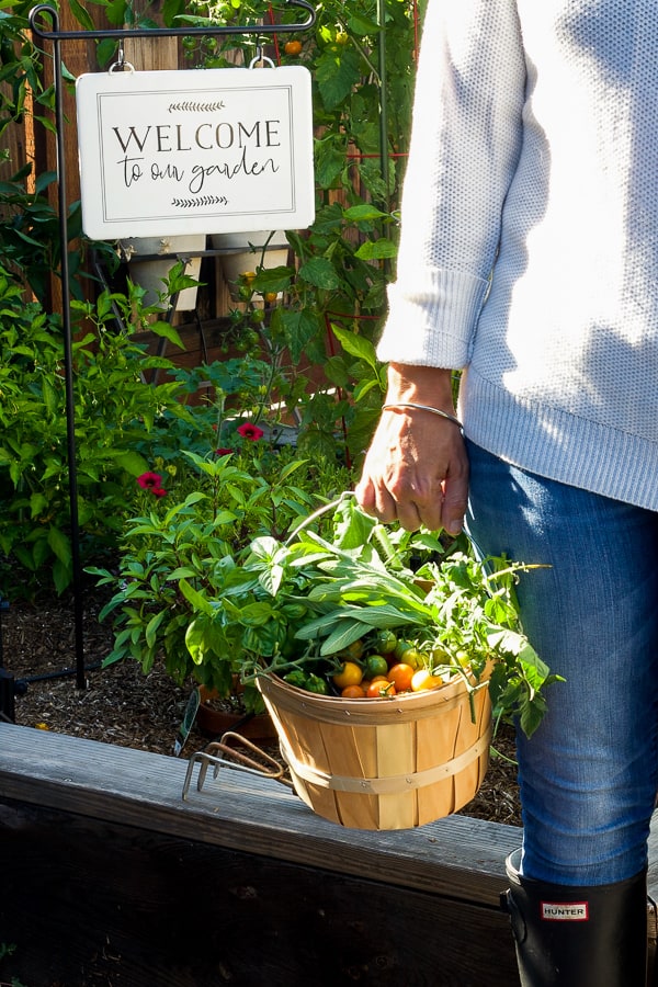 fresh vegetables from garden as part of mediterranean diet