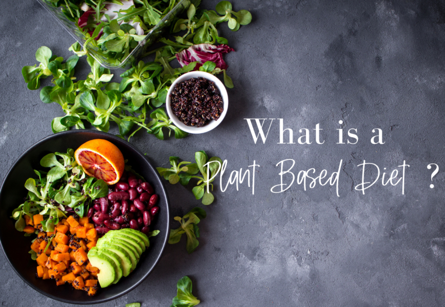 what is a plant based diet