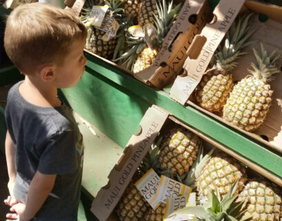 how to get kids to eat fruits and vegetables