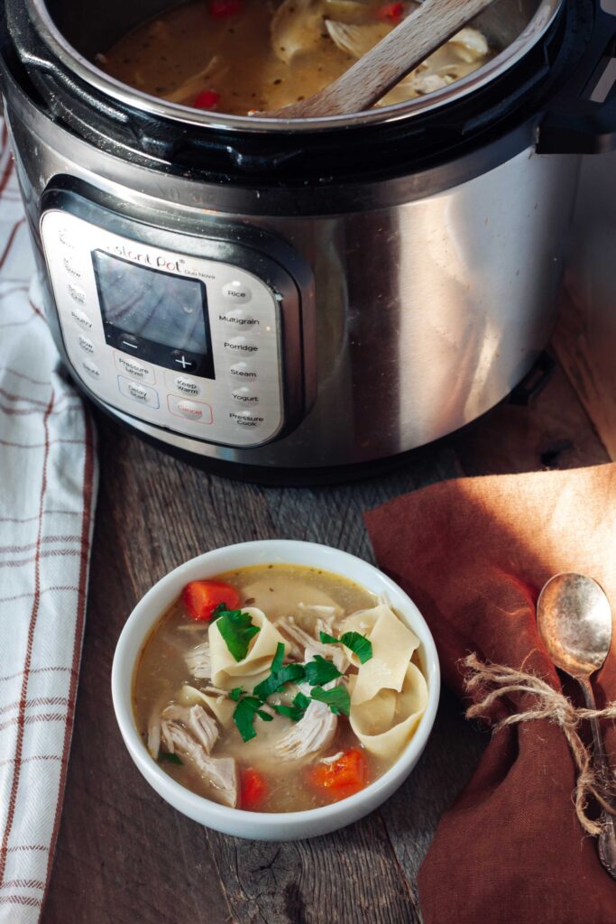 instant pot chicken noodle soup recipe